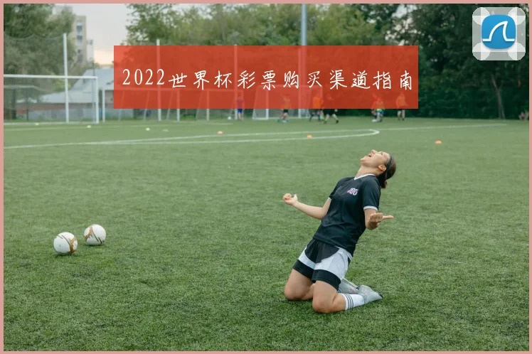 2022世界杯彩票购买渠道指南