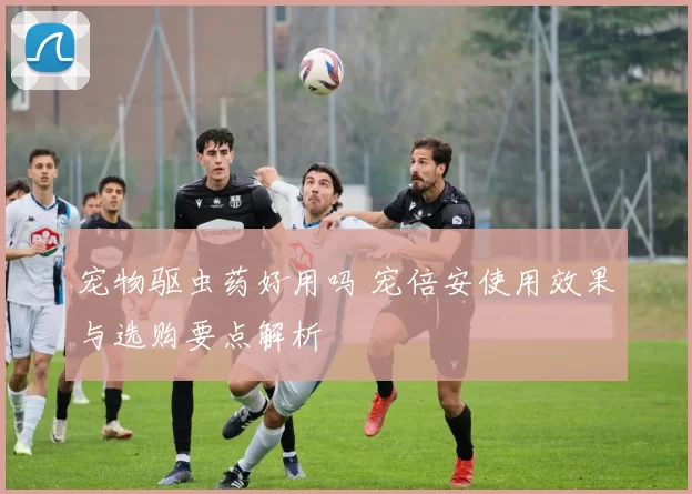 宠物驱虫药好用吗 宠倍安使用效果与选购要点解析
