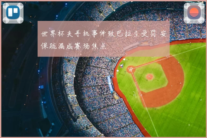 世界杯夹手机事件致巴拉圭受罚 安保疏漏成赛场焦点