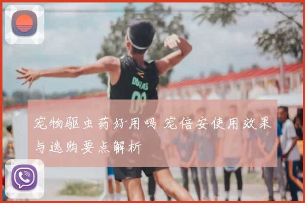 宠物驱虫药好用吗 宠倍安使用效果与选购要点解析