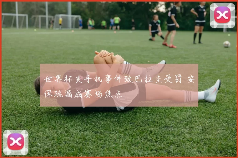 世界杯夹手机事件致巴拉圭受罚 安保疏漏成赛场焦点