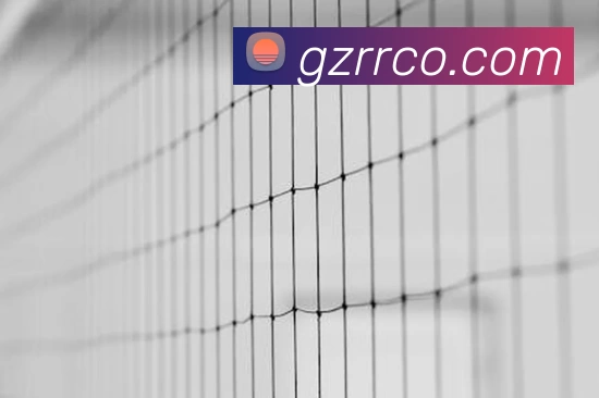 神彩争霸网唯一网站高清网站 - 文档下载APP 封面图